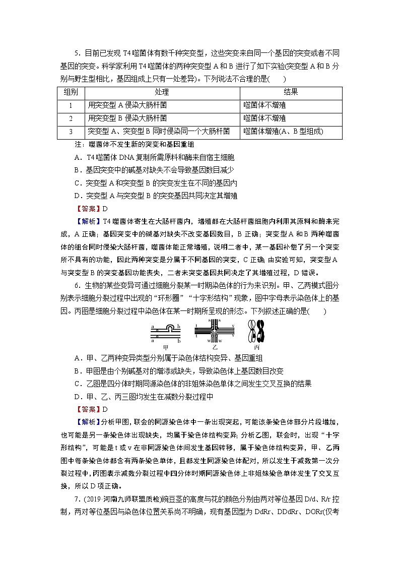 第5章进阶突破第3页