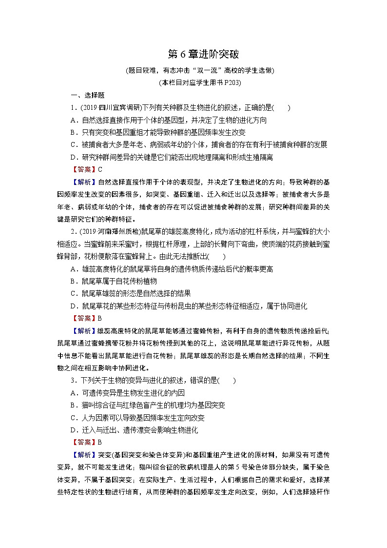第6章进阶突破第1页