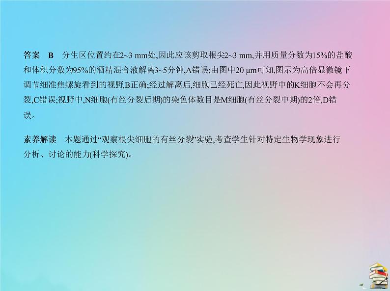 高中生物高考2020届高考生物一轮复习专题7细胞的增殖课件06