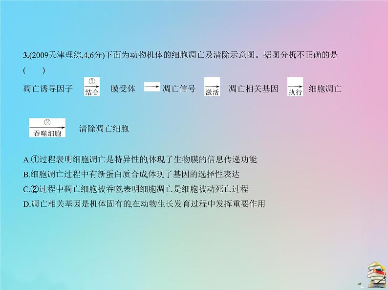 高中生物高考2020届高考生物一轮复习专题8细胞的分化衰老凋亡和癌变课件第5页