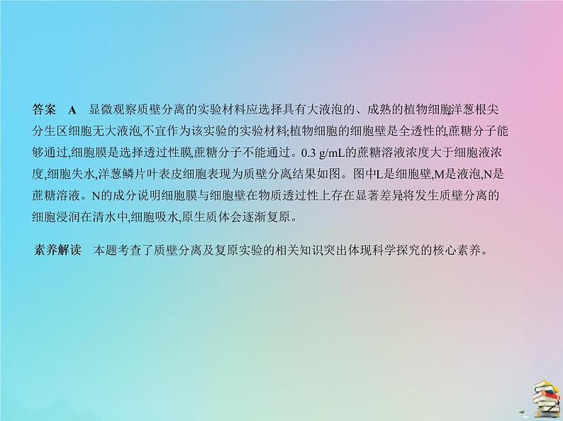 高中生物高考2020届高考生物一轮复习专题3物质进出细胞的方式课件05