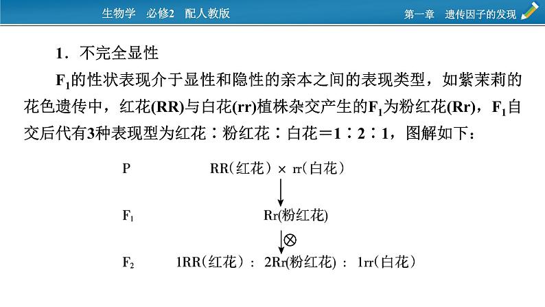 第一章 微专题1课件PPT第2页