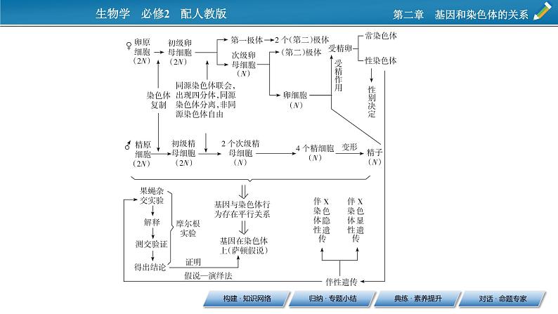 第二章  章末总结2课件PPT第3页