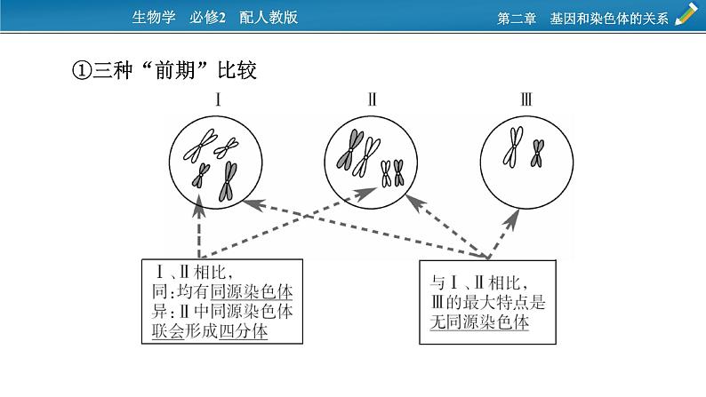 第三章  微专题3课件PPT03