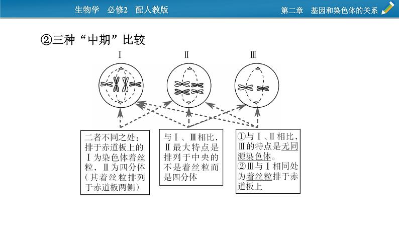 第三章  微专题3课件PPT04