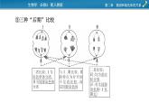 第三章  微专题3课件PPT