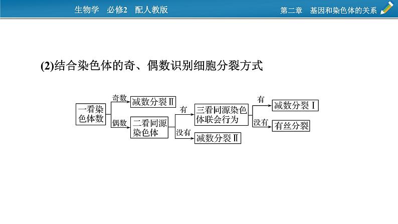 第三章  微专题3课件PPT06