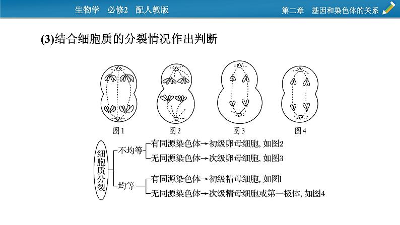 第三章  微专题3课件PPT07