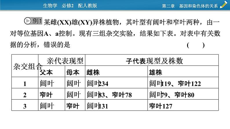 第四章  微专题4课件PPT第3页