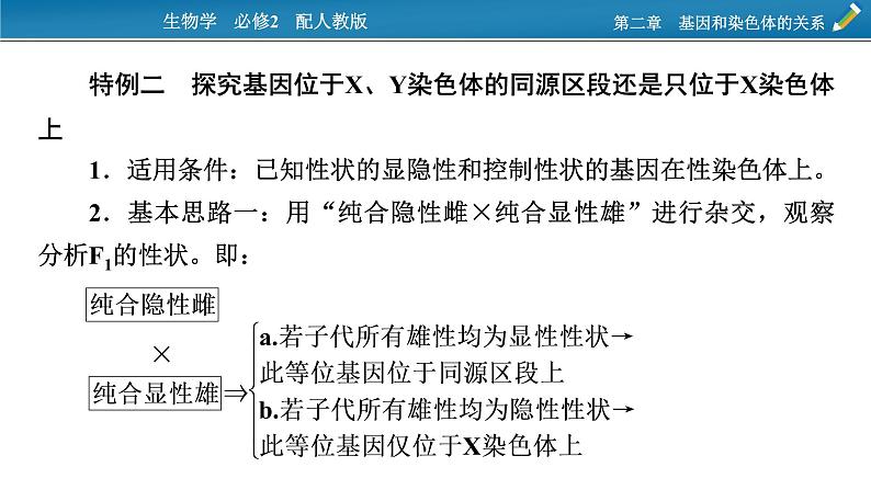 第四章  微专题4课件PPT第6页