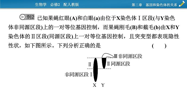 第四章  微专题4课件PPT第8页