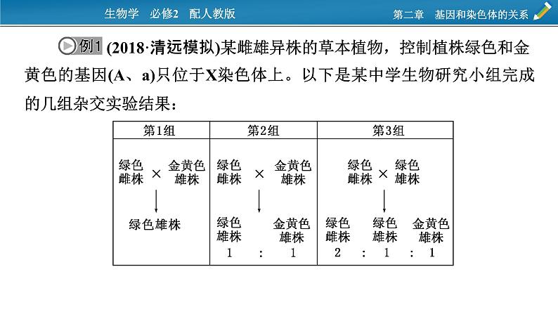 第五章 微专题5课件PPT第3页