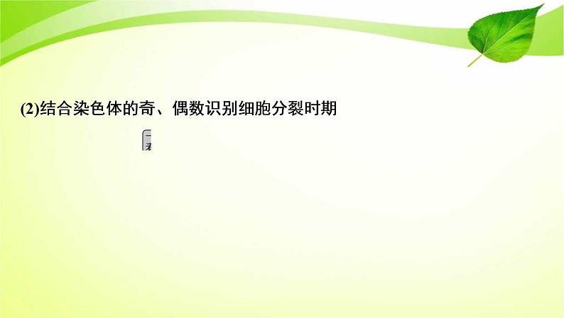 高中生物高考2022年二轮复习：加强提升课(四)　辨析“三率”及“三率”测定的5种实验模型课件PPT第5页