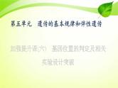 高中生物高考2022年二轮复习：加强提升课(六)　基因位置的判定及相关实验设计突课件PPT
