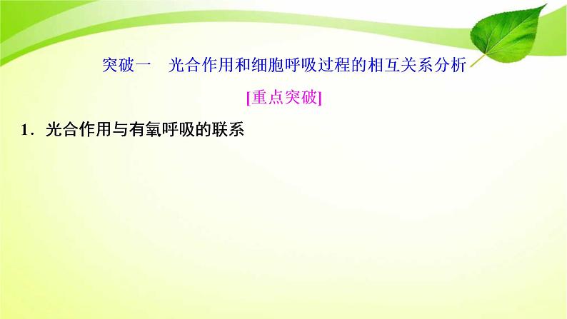 高中生物高考2022年二轮复习：加强提升课(二)　光合作用与细胞呼吸综合应用课件PPT02