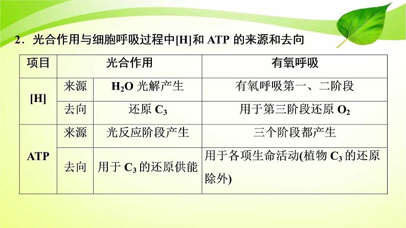 高中生物高考2022年二轮复习：加强提升课(二)　光合作用与细胞呼吸综合应用课件PPT04