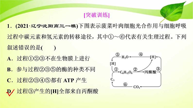 高中生物高考2022年二轮复习：加强提升课(二)　光合作用与细胞呼吸综合应用课件PPT05