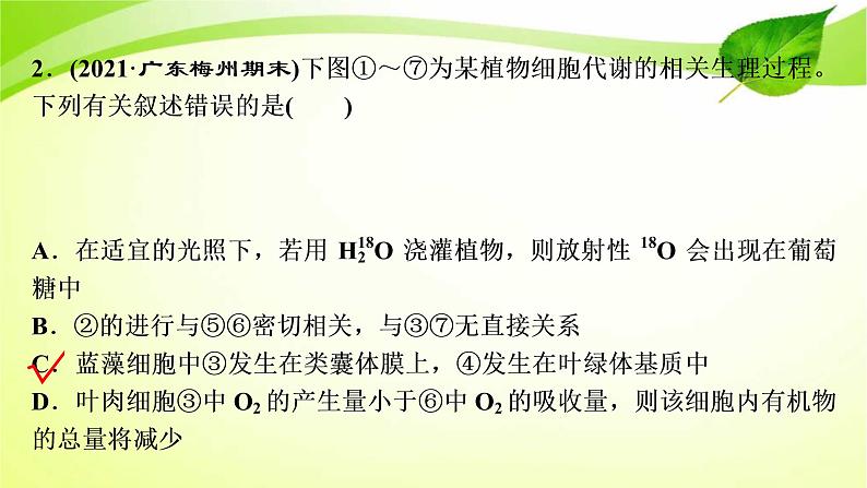 高中生物高考2022年二轮复习：加强提升课(二)　光合作用与细胞呼吸综合应用课件PPT07