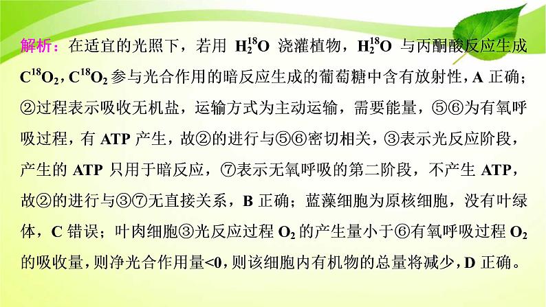 高中生物高考2022年二轮复习：加强提升课(二)　光合作用与细胞呼吸综合应用课件PPT08