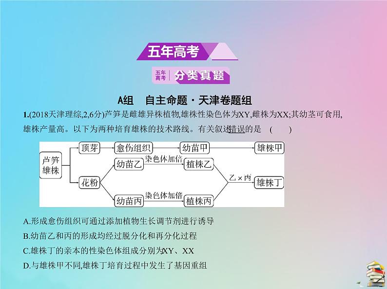 高中生物高考2020届高考生物一轮复习专题14生物的变异与育种课件第2页