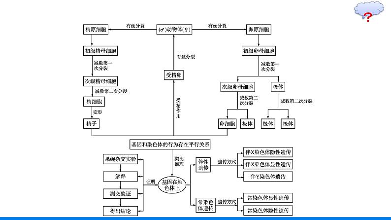 第2章  基因和染色体的关系 本章整合课件PPT04