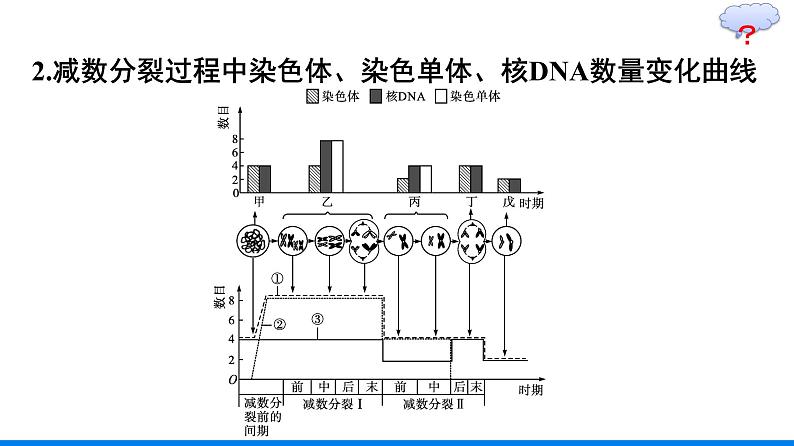 第2章  基因和染色体的关系 本章整合课件PPT07