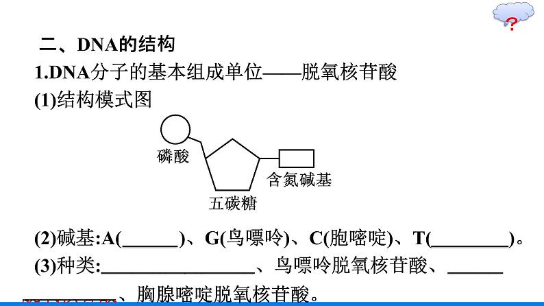 第2节　DNA的结构课件PPT08