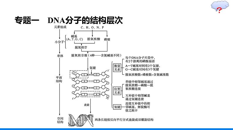 第3章  基因的本质 本章整合课件PPT06