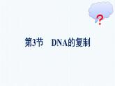 第3节　DNA的复制课件PPT