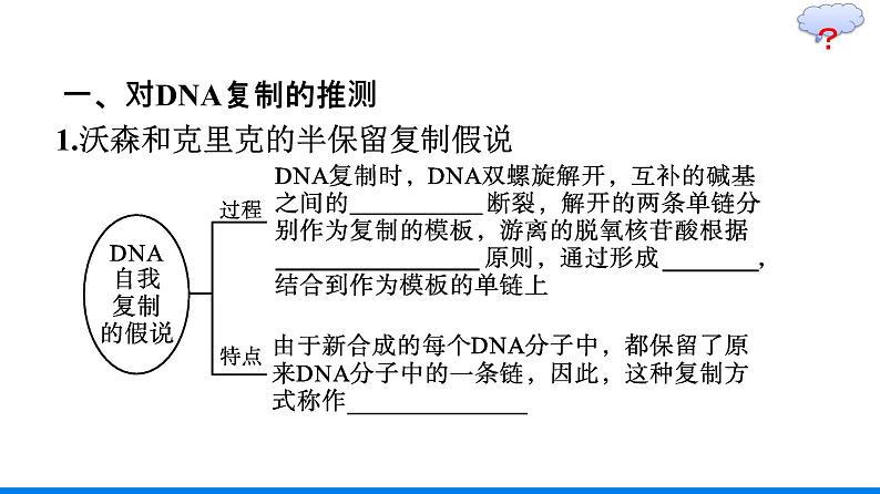 第3节　DNA的复制课件PPT07