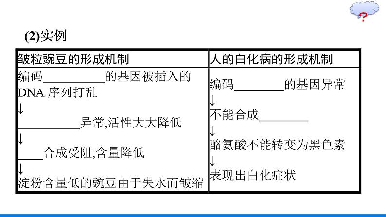第2节　基因表达与性状的关系课件PPT第7页