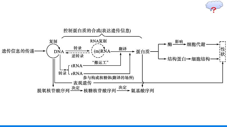 第4章  基因的表达 本章整合课件PPT04