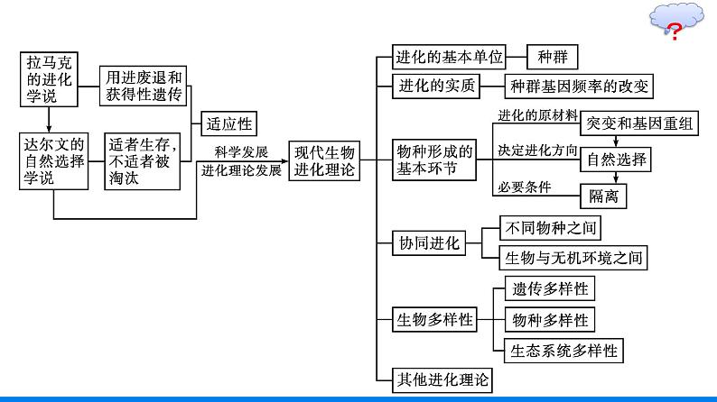 第6章  生物的进化 本章整合课件PPT第4页