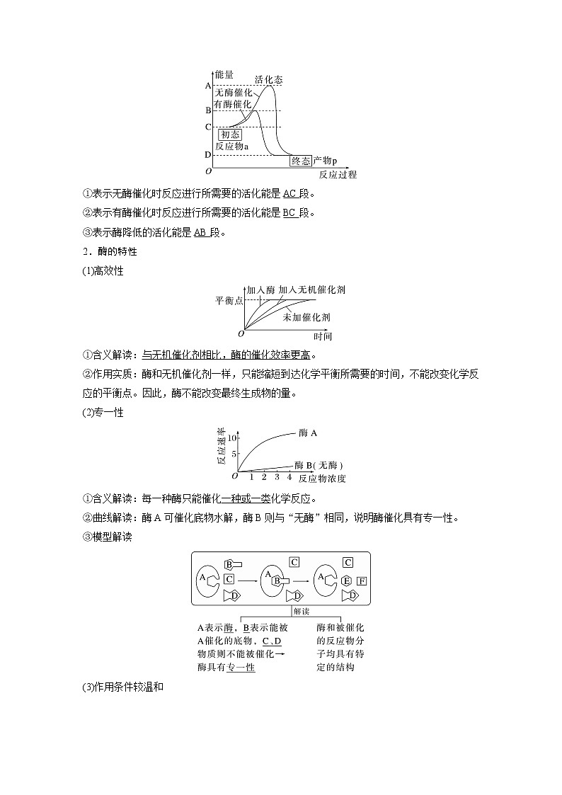 高中生物高考2023年高考生物一轮复习（新人教新高考） 第3单元 第1课时　降低化学反应活化能的酶02