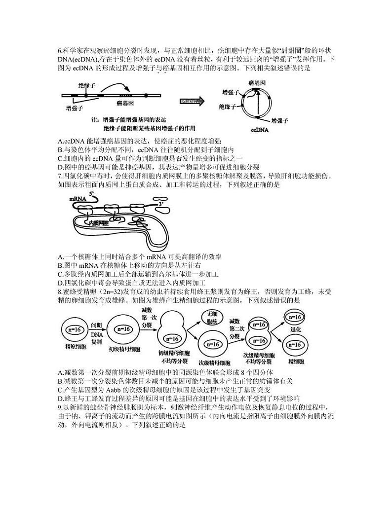 2021届江苏省苏锡常镇四市高三下学期3月教学情况调研（一）（一模）生物试卷 PDF版02