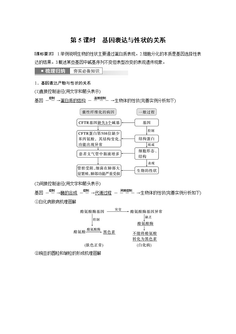 高中生物高考2023年高考生物一轮复习（新人教新高考） 第6单元 第5课时　基因表达与性状的关系 试卷01