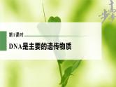 高中生物高考2023年高考生物一轮复习（新人教新高考） 第6单元 第1课时　DNA是主要的遗传物质课件PPT