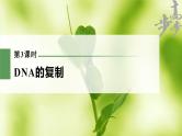 高中生物高考2023年高考生物一轮复习（新人教新高考） 第6单元 第3课时　DNA的复制课件PPT