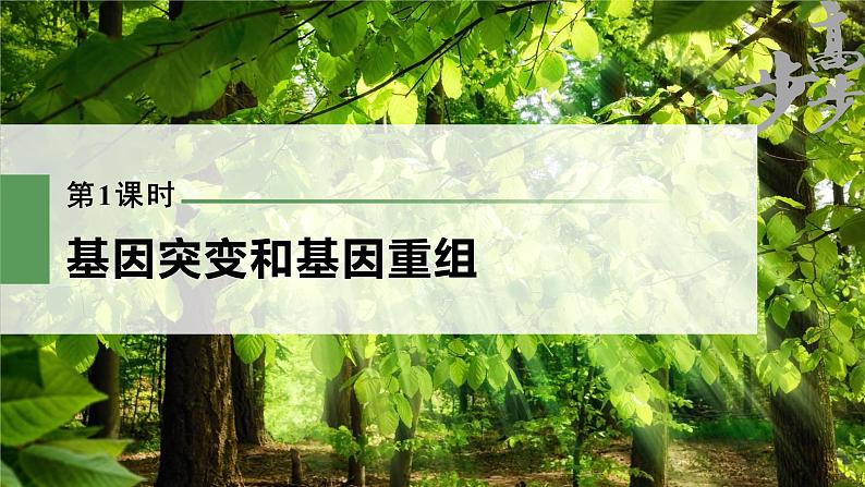 高中生物高考2023年高考生物一轮复习（新人教新高考） 第7单元 第1课时　基因突变和基因重组课件PPT第1页