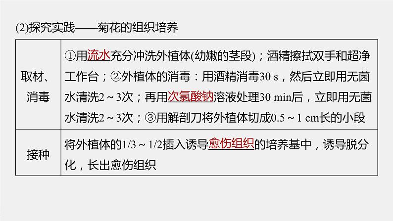 高中生物高考2023年高考生物一轮复习（新人教新高考） 第10单元 第3课时　植物细胞工程课件PPT08