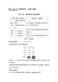 高中生物高考必修二 第七单元 第19讲