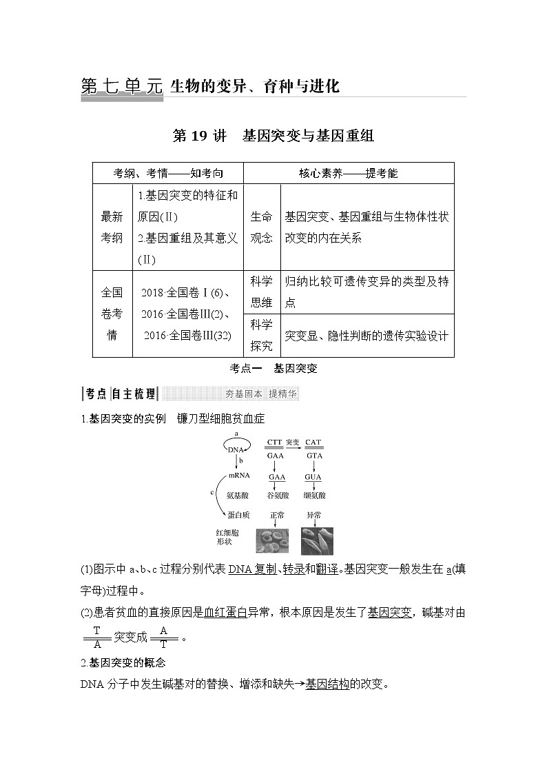高中生物高考必修二 第七单元 第19讲第1页