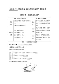 高中生物高考必修二 第五单元 第13讲