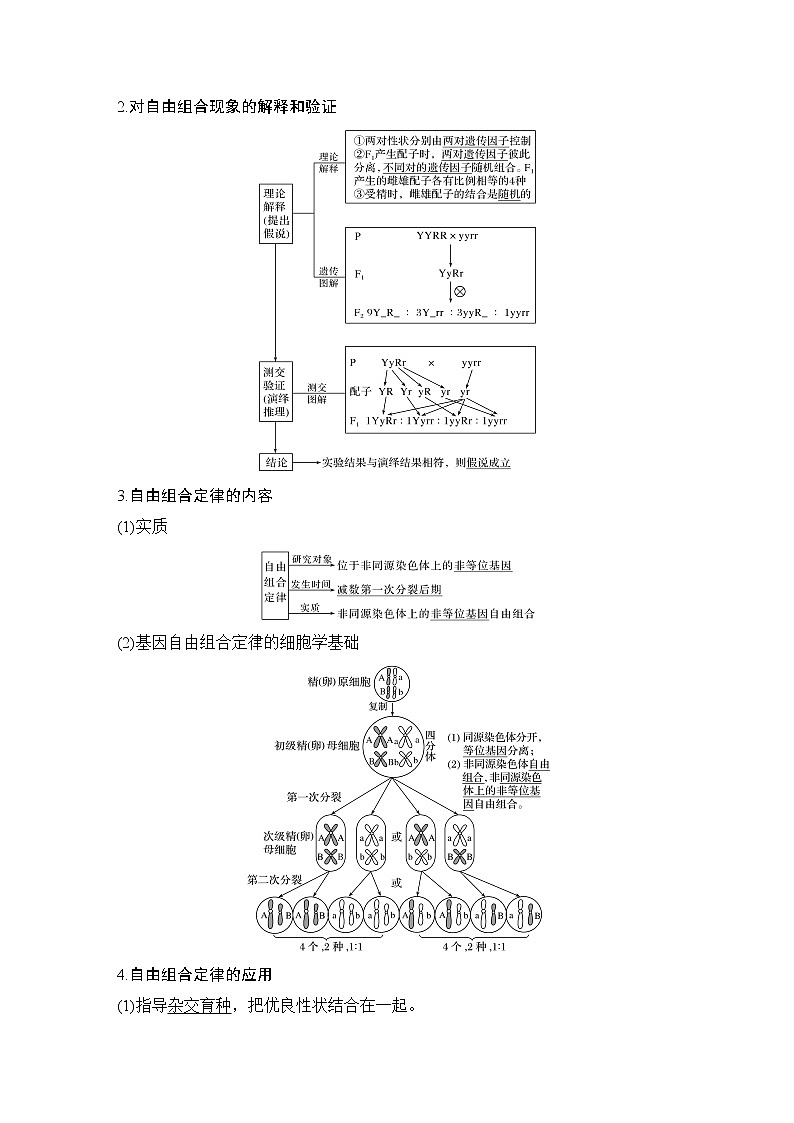 高中生物高考必修二 第五单元 第14讲第2页