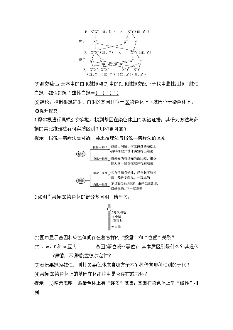 高中生物高考必修二 第五单元 第15讲第3页