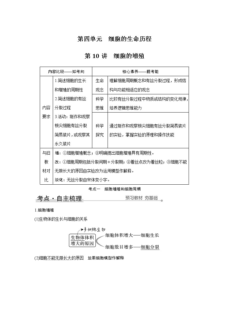 高中生物高考第10讲　细胞的增殖第1页