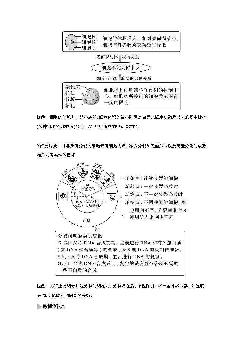 高中生物高考第10讲　细胞的增殖第2页
