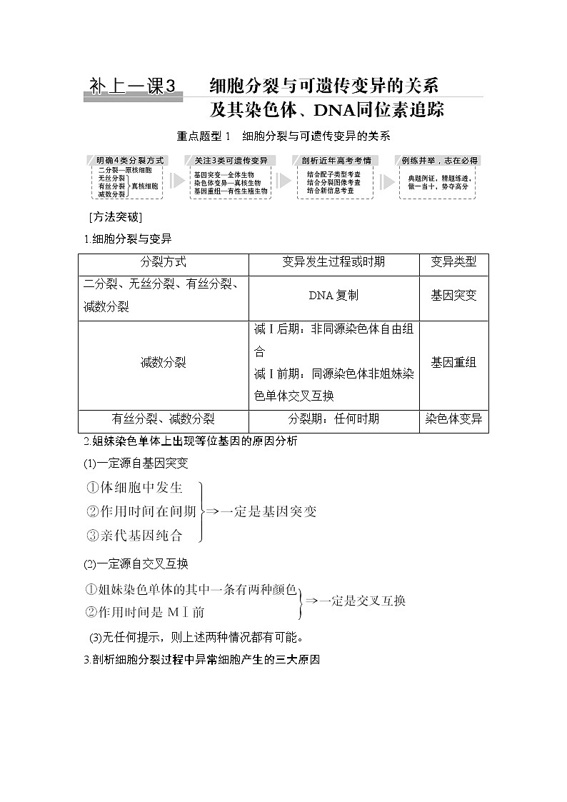 高中生物高考补上一课3 细胞分裂与可遗传变异的关系及其染色体、DNA同位素追踪第1页