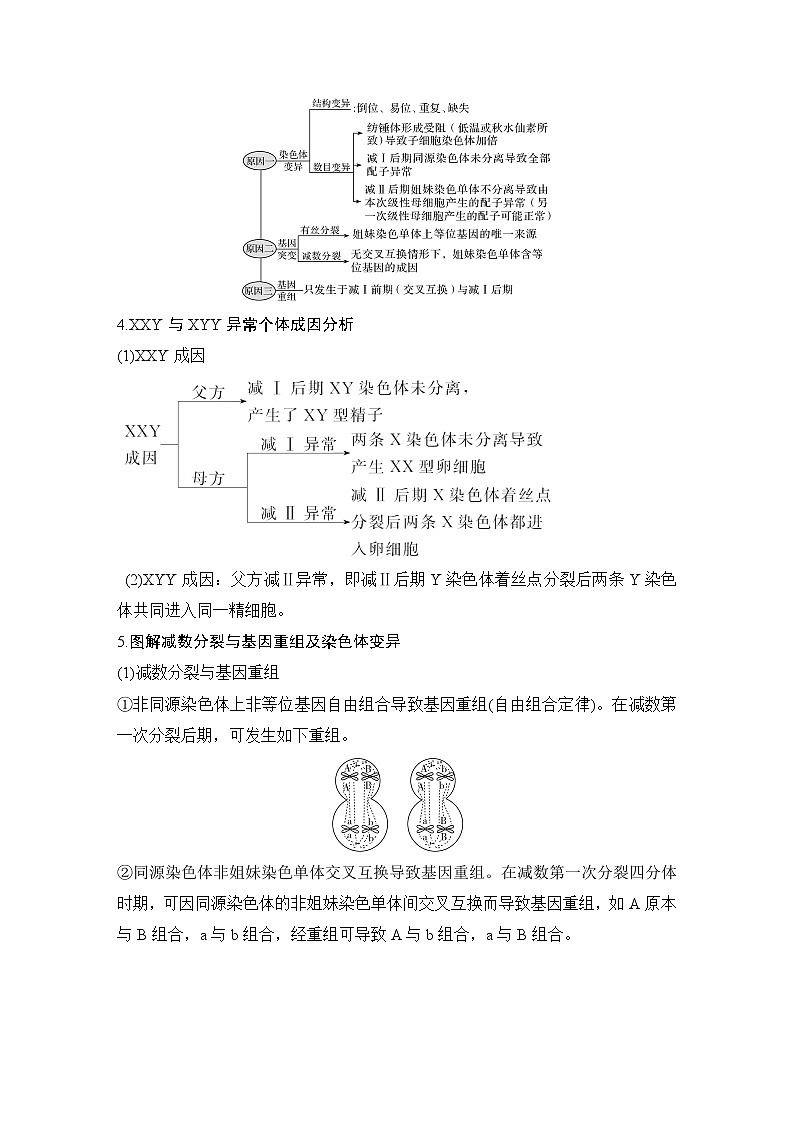 高中生物高考补上一课3 细胞分裂与可遗传变异的关系及其染色体、DNA同位素追踪第2页
