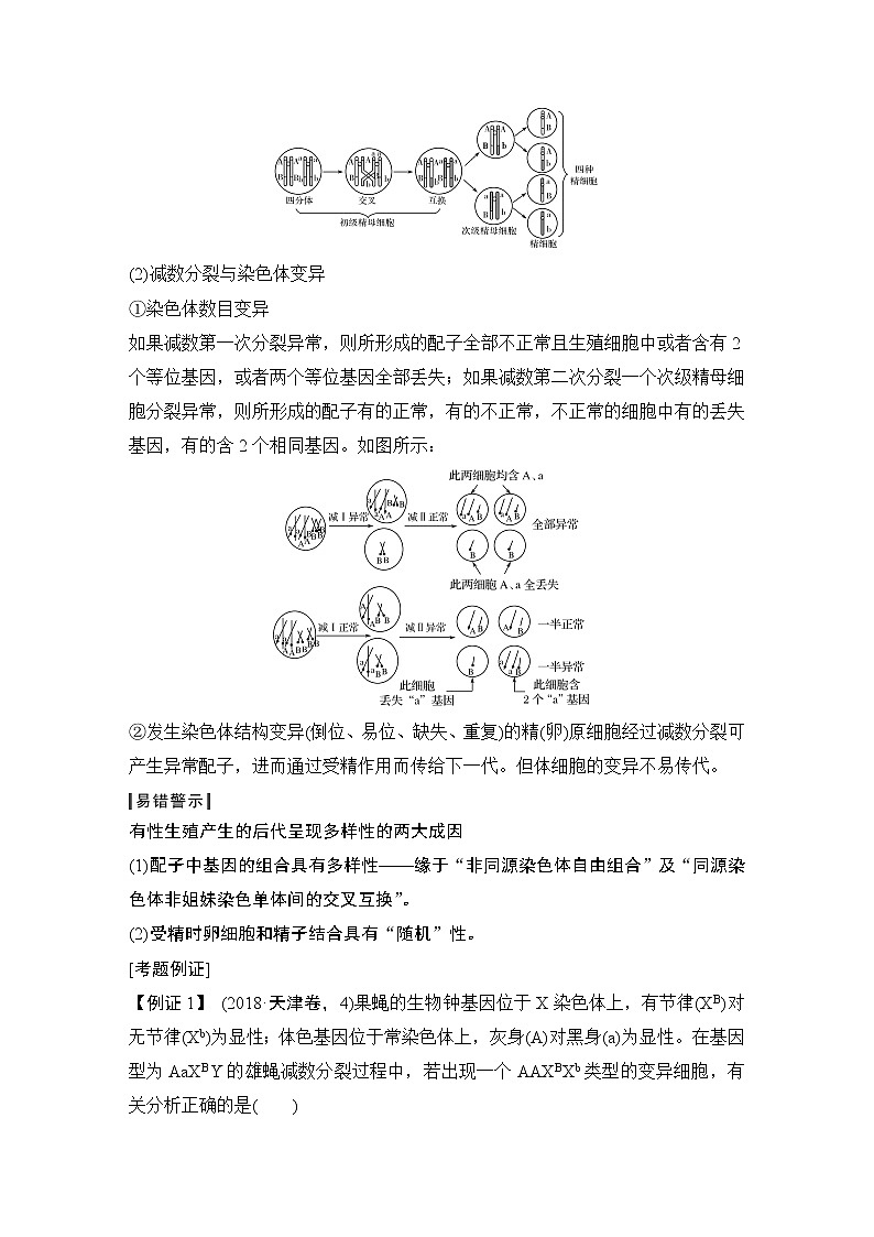 高中生物高考补上一课3 细胞分裂与可遗传变异的关系及其染色体、DNA同位素追踪第3页